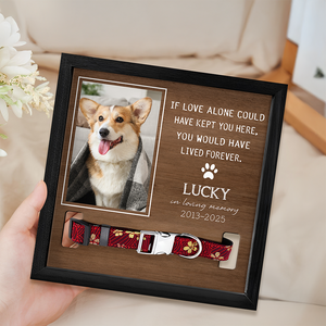 Custom Photo You Were My Favorite Hello And My Hardest Goodbye Memorial Square Collar Frame TH10 892651