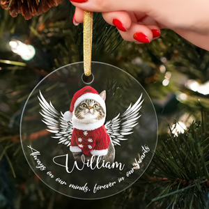 Custom Photo Not A Day Goes By Memorial Cat Acrylic Ornament HA75 897250