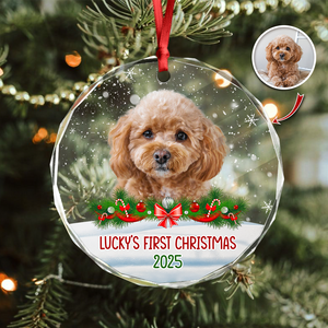 Custom Photo Dog First Christmas Glass Ornament HA75 897258
