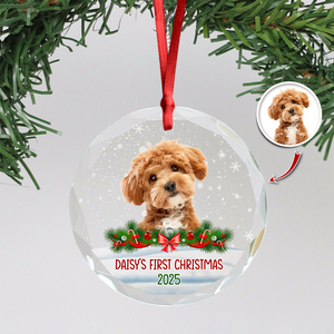 Custom Photo Dog First Christmas Glass Ornament HA75 897258