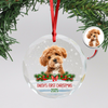 Custom Photo Dog First Christmas Glass Ornament HA75 897258