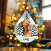Custom Dog Cat Photo Christmas Acrylic Ornament TH10 896113