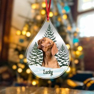 Custom Dog Cat Photo Christmas Acrylic Ornament TH10 896113