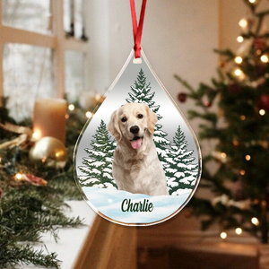 Custom Dog Cat Photo Christmas Acrylic Ornament TH10 896113