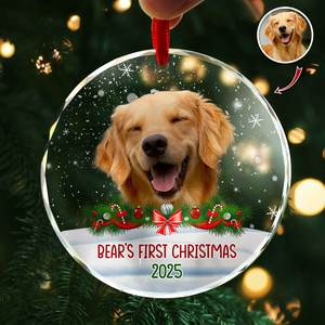 Custom Photo Dog First Christmas Glass Ornament HA75 897258