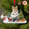 Custom Photo Cat Christmas Acrylic Ornament For Christmas HA75 897608