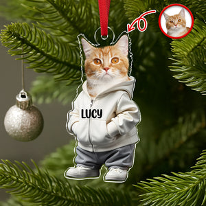Custom Photo Cool Dog Cat Acrylic Ornament Gift For Dog Cat Lovers HA75 897146