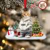 Custom Photo Cat Christmas Acrylic Ornament For Christmas HA75 897608