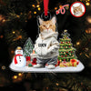 Custom Photo Cat Christmas Acrylic Ornament For Christmas HA75 897608
