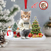 Custom Photo Cat Christmas Acrylic Ornament For Christmas HA75 897608