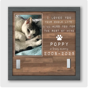 You Were My Favorite Hello And My Hardest Goodbye - Memorial Personalized Custom Pet Loss Sign, Collar Frame 40124