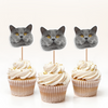 Custom Photo Funny Cat Funny Personalized Decoration Cupcake Toppers HA75 891988