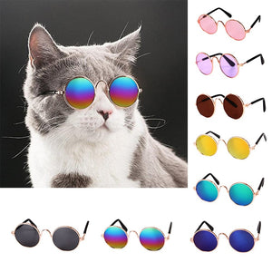 GeckoCustom Cool Funny The Kitten Sunglasses