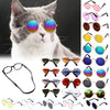 GeckoCustom Cool Funny The Kitten Sunglasses