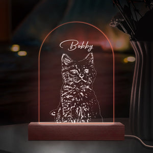 GeckoCustom Custom Cat Photo Pencil Drawing With Name For Cat Lovers Acrylic Plaque LED Night Light LM32 893031 Acrylic / 7.9"x4.5"