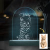 GeckoCustom Custom Cat Photo Pencil Drawing With Name For Cat Lovers Acrylic Plaque LED Night Light LM32 893031 Acrylic / 7.9"x4.5"