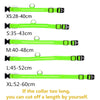 GeckoCustom LED Glowing Dog Collars Rechargeable Waterproof Luminous Collar Adjustable Dog Night Light Collar Pet Dog Safety Necklace