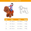 GeckoCustom Novelty Cowboy Rider Dog Costume for Dogs Clothes Party Halloween Pet Costume New Year Outfit Pet Cat Clothes Chihuahua