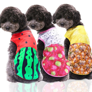GeckoCustom Vest pet spring and summer vest teddy bear beautiful dog clothes cat clothes Vest mesh breathable pet clothes puppy clothes
