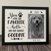 GeckoCustom You Were Our Favorite Hello And Our Hardest Goodbye Dog Picture Frame 10"x8"
