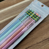 Personalized Pastel Pencils, Engraved Ticonderoga, Teacher Gift TH10 170527