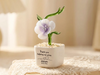 Glass Plant Pot, Personalized Name Mini Glass Flower, Teacher Appreciation Desk Table Decoration TH10 170207
