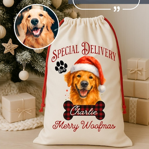 Custom Photo Speacial Delivery Christmas Gift Bag TH10 896979