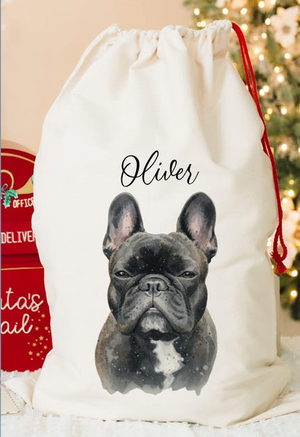 Custom Dog Photo And Name Christmas Gift Bag TH10 896983