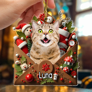 Custom Photo Letter To You 3D Effect Cat Acrylic Ornament Personalized Gift For Christmas HO82 900554