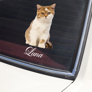 Custom Photo And Name Dog Cat Car Window Decal Sticker HA75 898162
