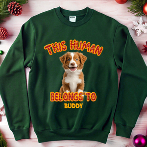 Custom Photo This Human Belongs To Dog Cat Sweatshirt TH10 896533