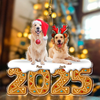 Custom Photo Dog Acrylic Ornament Christmas Gifts For Dog Lovers HA75 897854