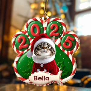 Custom Cat Photo Paw Christmas Acrylic Ornament For Cat Lovers HA75 898376