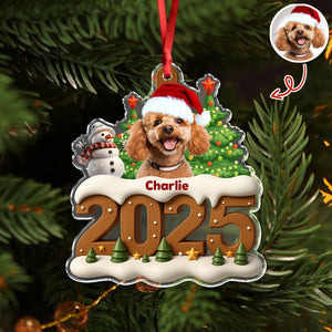 Custom Dog Photo Cozy Xmas Crew Acrylic Ornament Personalized Gift For Christmas HO82 900132