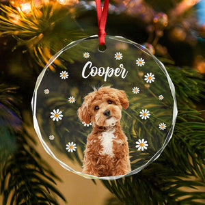 Custom Pet Photo With Icon For Dog And Cat Lovers Glass Ornament TH10 894255