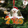 Custom Dog Christmas Cake Crew Photo - Personalized Acrylic Ornament CH07 899704