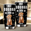 Custom Photo Best Dog Dad Cooler Version Fat Tumbler LM32 893693