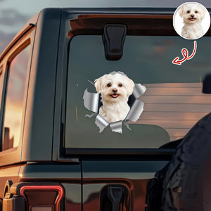 Custom Dog Photo Car Window Decal Sticker HA75 898160