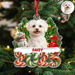 Custom Photo Christmas Gifts Dog Cat Acrylic Ornament HO82 900282