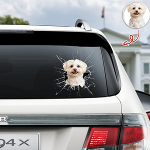 Custom Pet Photo Car Window Decal Sticker Gift For Pet Lovers HA75 898158