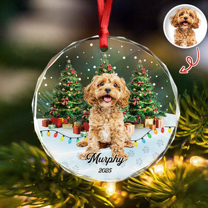 Custom Pet Photo - Personalized Christmas Glass Ornament For Pet Lovers CH07 899692