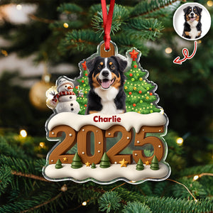 Custom Dog Photo Cozy Xmas Crew Acrylic Ornament Personalized Gift For Christmas HO82 900132