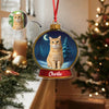Custom Cat Photo Snow Globe With Name Acrylic Ornament Christmas Gift For Cat Lover CH07 896836