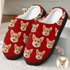 Custom Funny Face Dog Cat Pet Slippers Gift For Pet Owner HA75 892998
