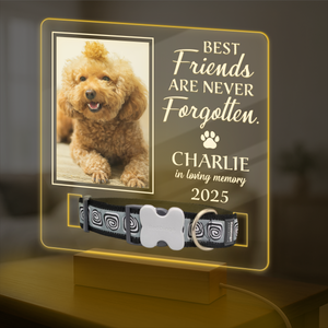 Custom Photo Best Friends Are Never Forgotten Memorial Acrylic Collar Frame TH10 894107