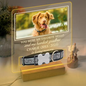 Custom Photo You Were My Favorite Hello Memorial Acrylic Collar Frame TH10 894095