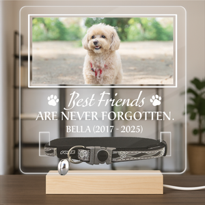 Custom Photo You Were My Favorite Hello Memorial Acrylic Collar Frame TH10 894095