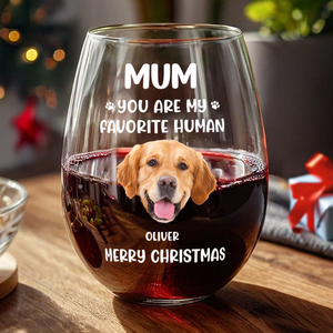 Custom Face Dog Cat - Mom, You’re My Favorite Human Wine Glass HA75 892944