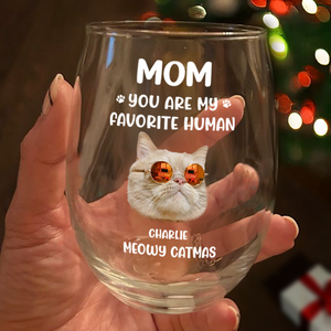 Custom Face Dog Cat - Mom, You’re My Favorite Human Wine Glass HA75 892944