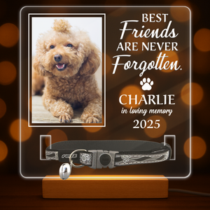 Custom Photo Best Friends Are Never Forgotten Memorial Acrylic Collar Frame TH10 894107